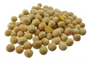 ERBSEN weiß 2,5Kg Pea Peas gelb Erbsenprotein HNV
