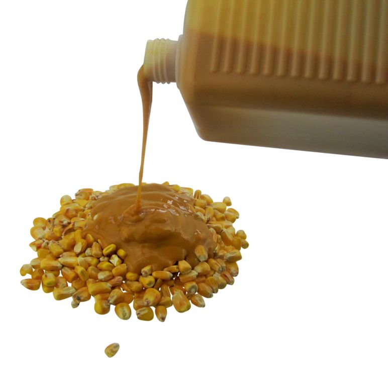 CSL - Corn Steep Liquor 1000ml / Fermentiert Liquid / Fermented