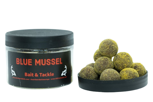NORTHERN BAITS Power Boosted Hookbaits Blue Mussel 250g  24mm