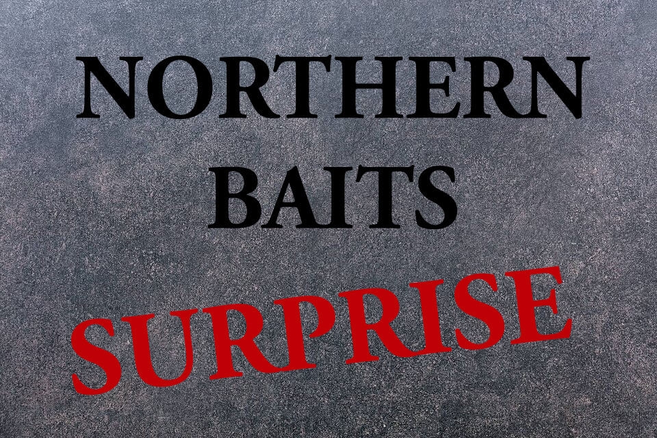 NORTHERN BAITS Überraschungsdose Hookbaits & Co.