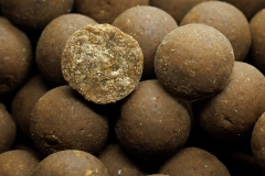 NORTHERN BAITS Boilies Blue Mussel 4,5kg 16mm 20mm 24mm
