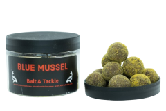 NORTHERN BAITS Power Boosted Hookbaits Blue Mussel 250g  24mm
