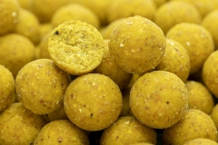 NORTHERN BAITS Boilies CSL Soluble Feed MUSTER