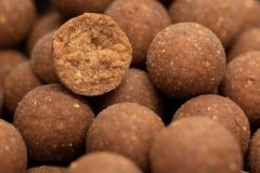 NORTHERN BAITS Boilies Evolution Boilies MUSTER