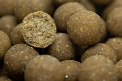 NORTHERN BAITS Boilies PROmino MUSTER